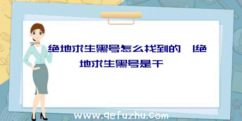 「绝地求生黑号怎么找到的」|绝地求生黑号是干嘛